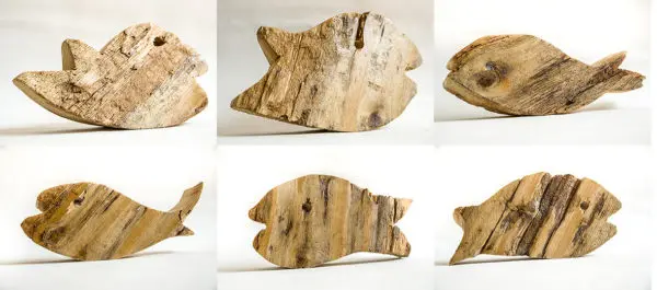 PEIXET 01-06