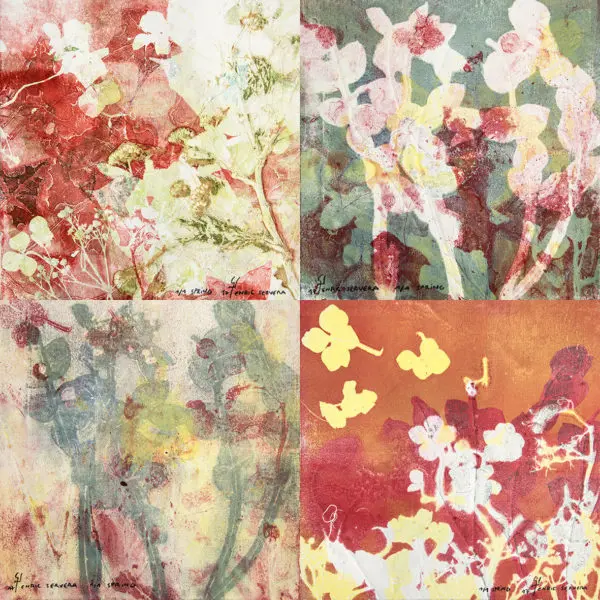 SERIE SPRING 03