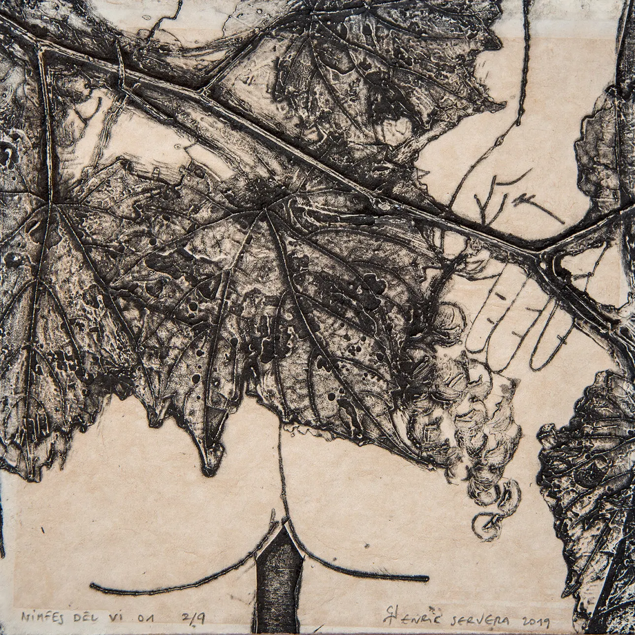 NIMFES DEL VI 01 – Enric Servera-p